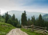 Foto: Ukrainas garša: borščs – sarkanais, zaļais un baltais